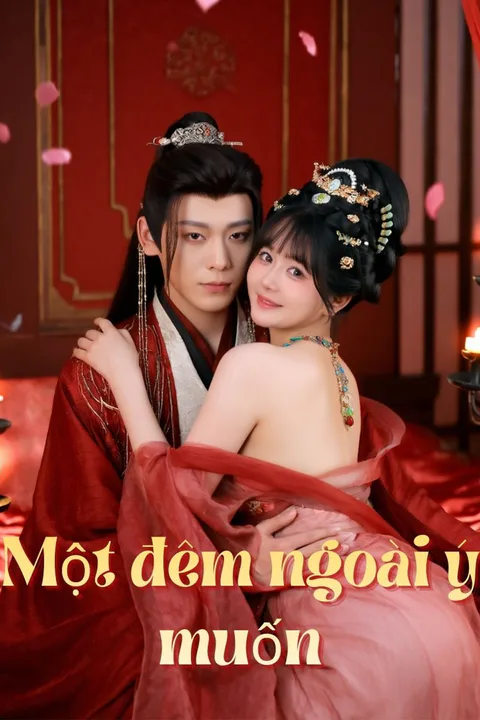 Poster Một đêm ngoài ý muốn