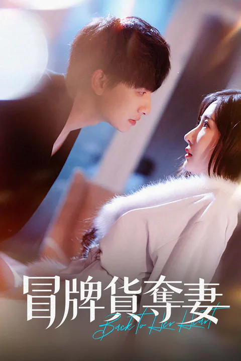 《冒牌貨奪妻》海報