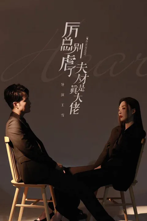 Mr. CEO, Stop Torturing, Madam is the Real Boss poster