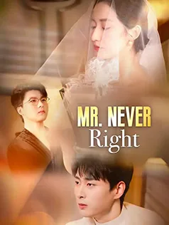Mr. Never Right poster