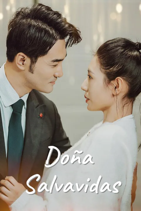 MR. Qin's Wife to the Rescue poster