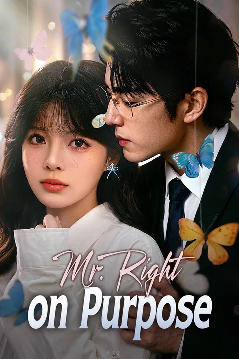 Mr. Right on Purpose poster