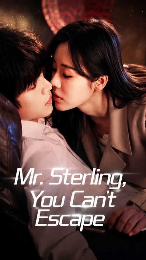 Mr. Sterling, You Can't Escape poster