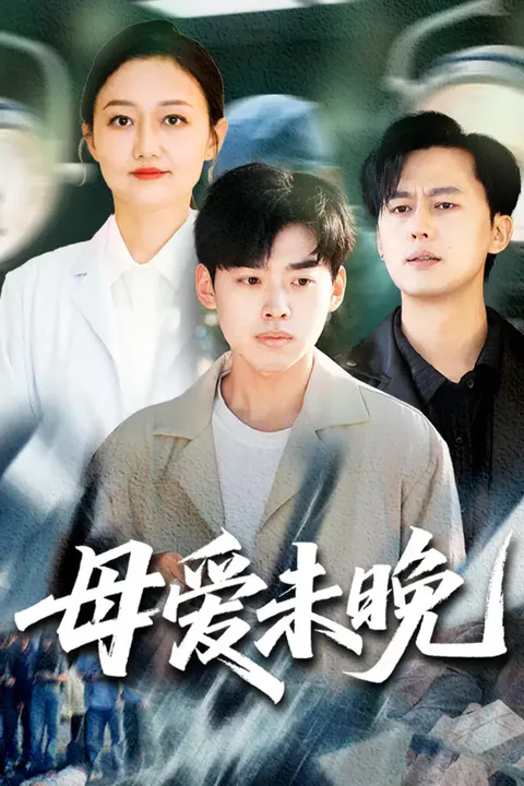 《母愛未晚》海報