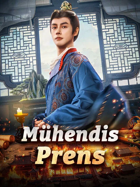 Mühendis Prens afişi