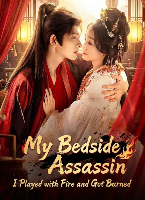 My Bedside Assassin:I Played with Fire and Got Burned poster