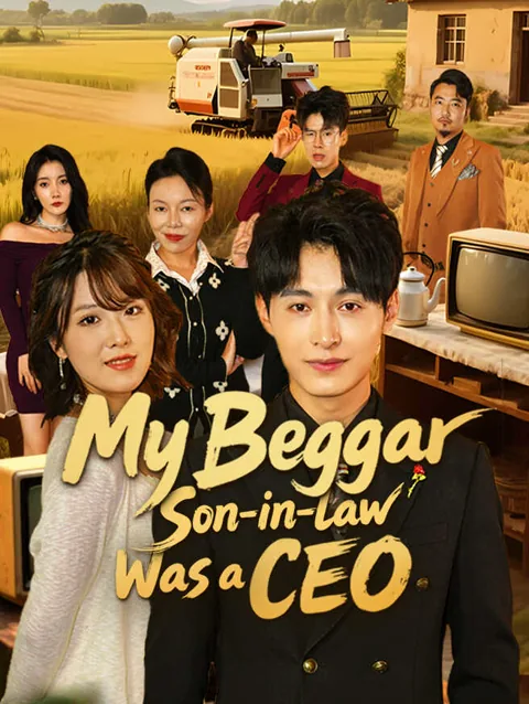 My Beggar Son-in-law Was a CEO poster