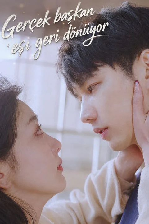 My CEO Husband's Fake Wife poster