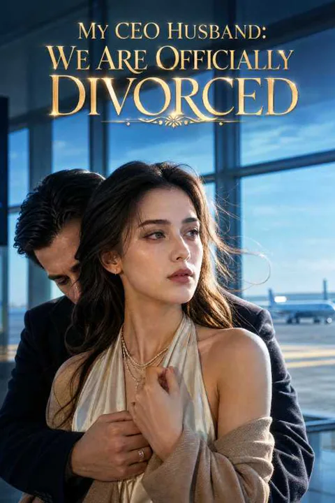 My CEO Husband：We Are Officially Divorced poster