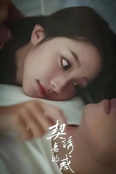 My Contracct Lover poster