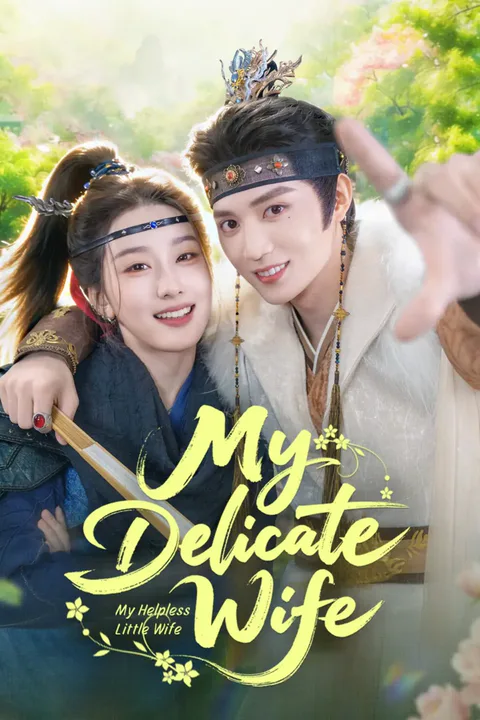My Delicate Wife poster