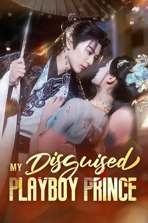 My Disguised Playboy Prince poster