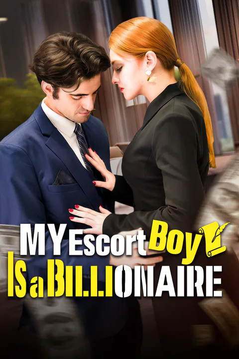 My Escort Boy Is a Billionaire poster