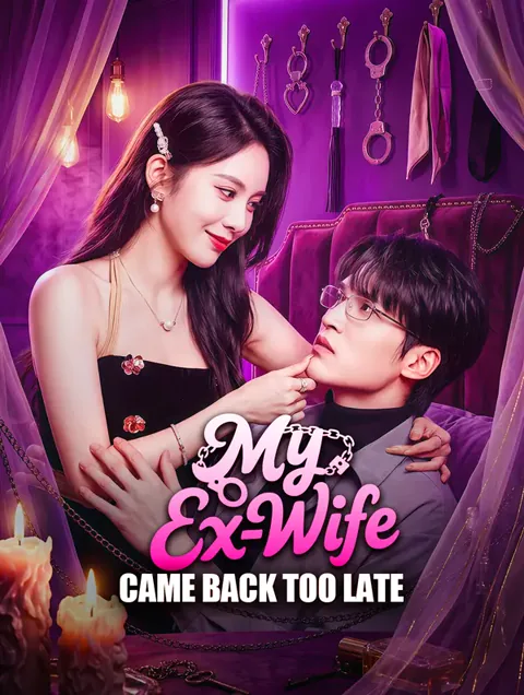 My Ex-Wife Came Back Too Late poster