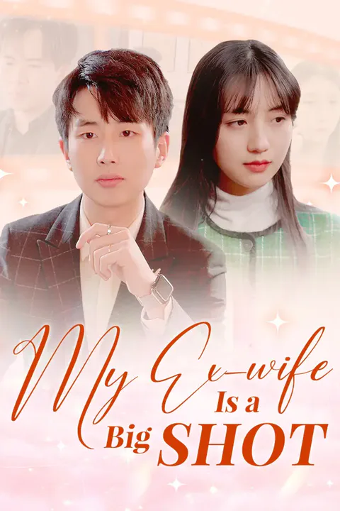 My Ex-wife Is A Big Shot poster