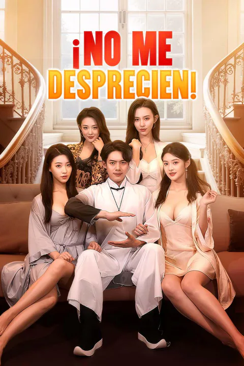 My Four Disdainful Sisters poster