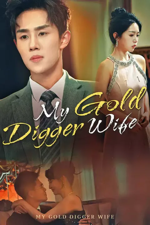 Póster de My Gold Digger Wife