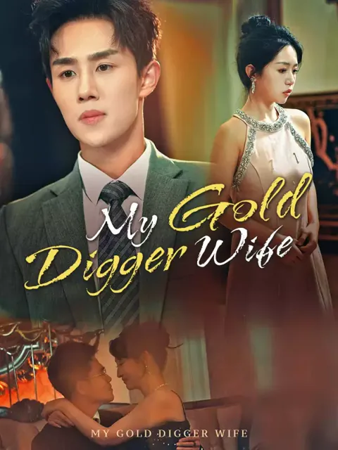 My Gold Digger Wife poster