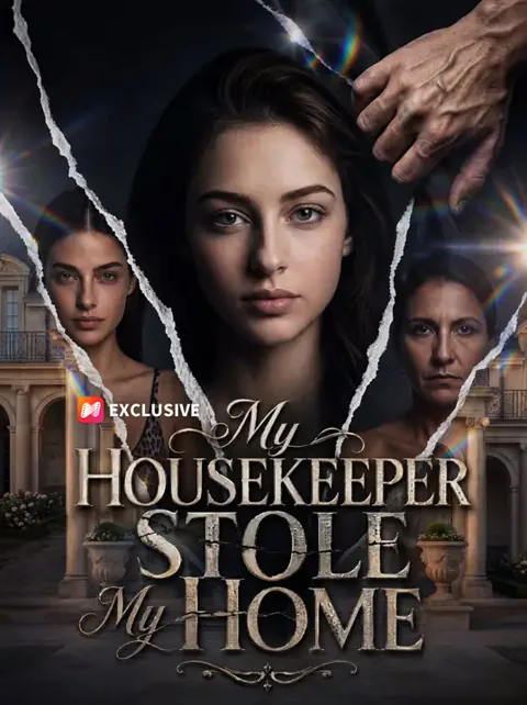 My Housekeeper Stole My Home poster
