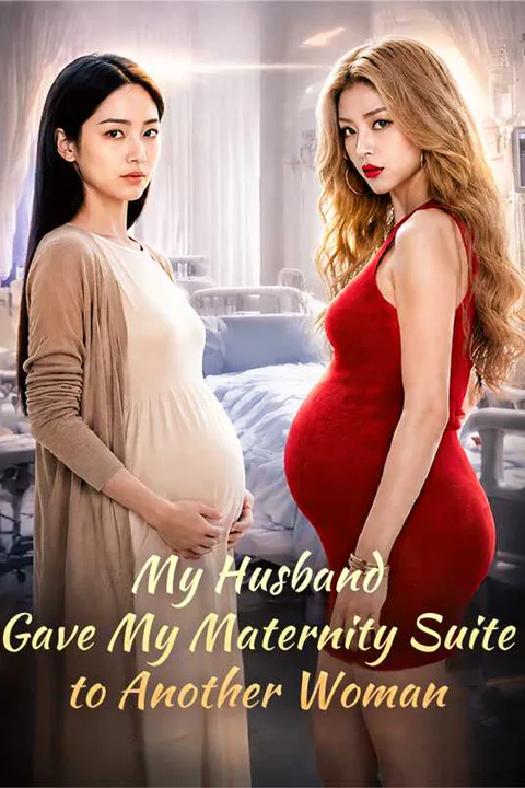 My Husband Gave My Maternity Suite to Another Woman poster