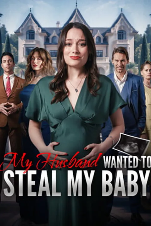My Husband Wanted to Steal My Baby poster