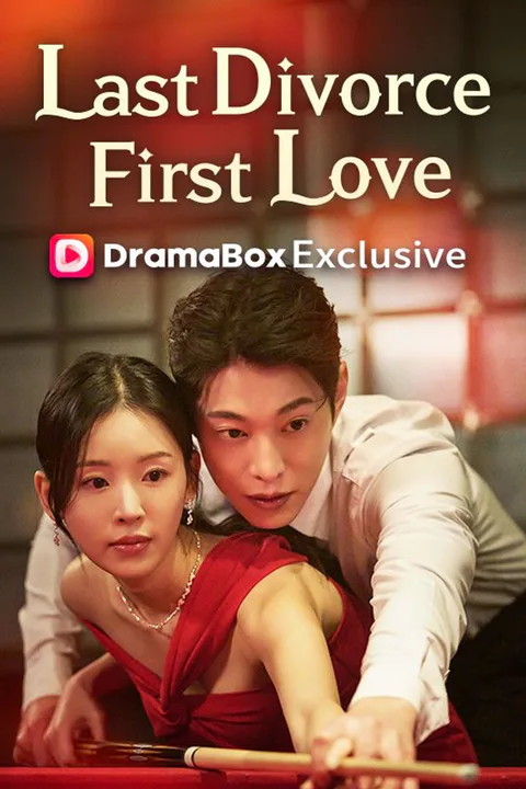 My Last Divorce, My First Love poster
