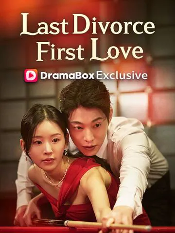 My Last Divorce, My First Love（DUBBED） poster