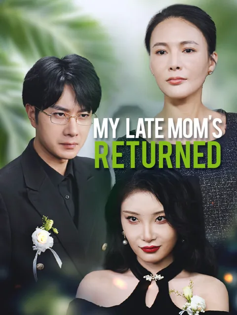 My Late Mom's Returned poster