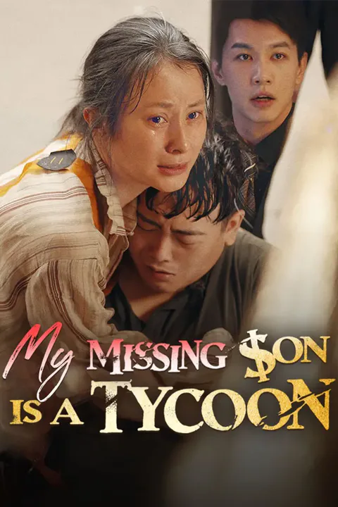 My Missing Son Is A Tycoon poster