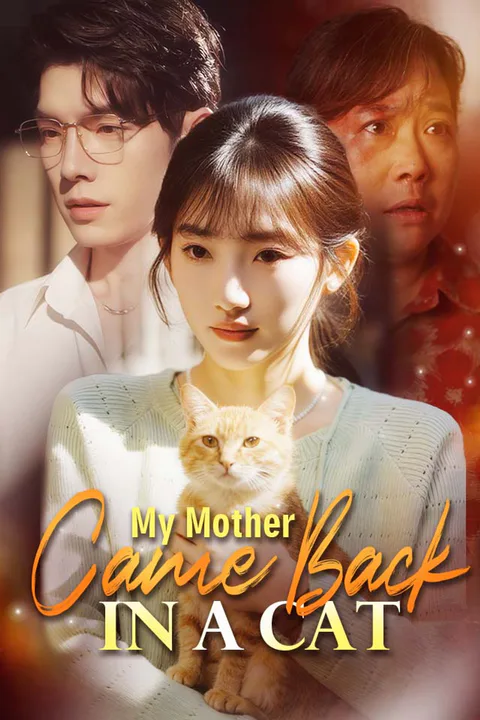 My Mother Came Back in a Cat poster