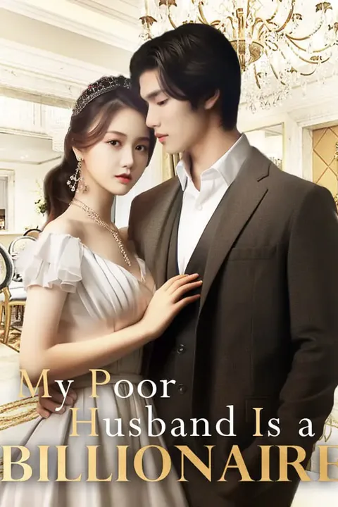 My Poor Husband Is a Billionaire poster