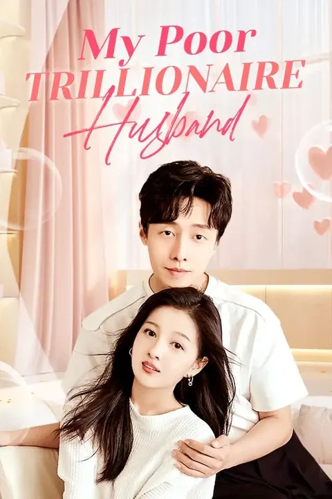 My Poor Trillionaire Husband poster