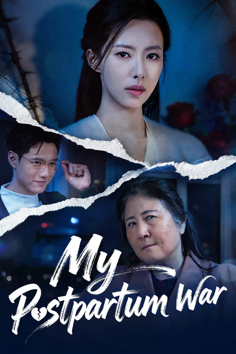 My Postpartum War poster