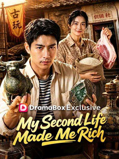 My Second Life Made Me Rich poster