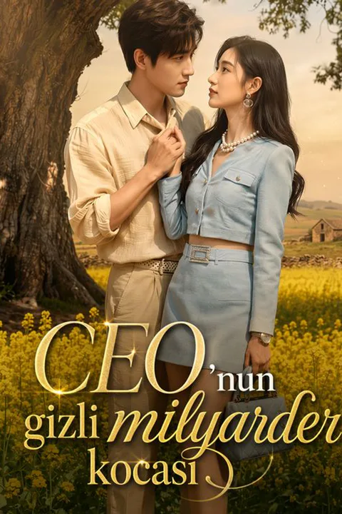 My Secret Billionaire Husband poster