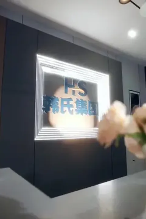 My Secret CEO Wife poster