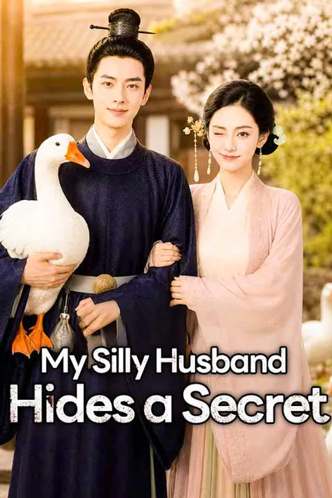 ‌My Silly Husband Hides a Secret poster