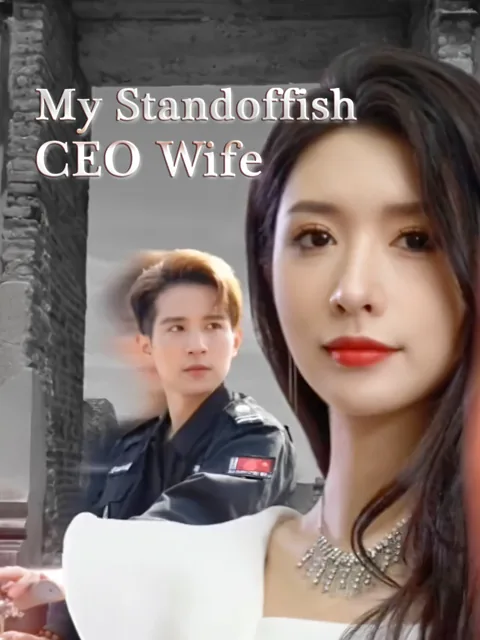 My Standoffish CEO Wife poster