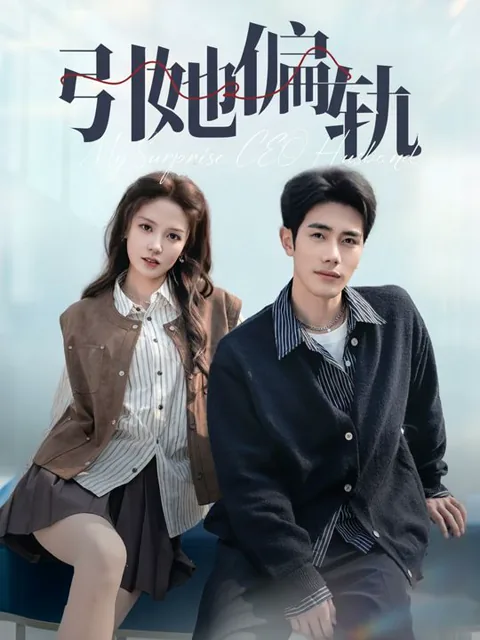 My Surprise CEO Husband poster