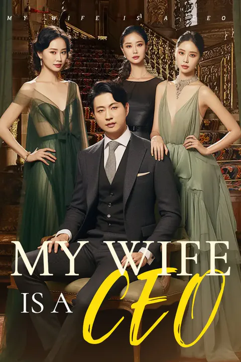 My Wife Is a CEO poster