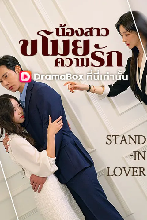 โปสเตอร์ น้องสาวขโมยความรัก