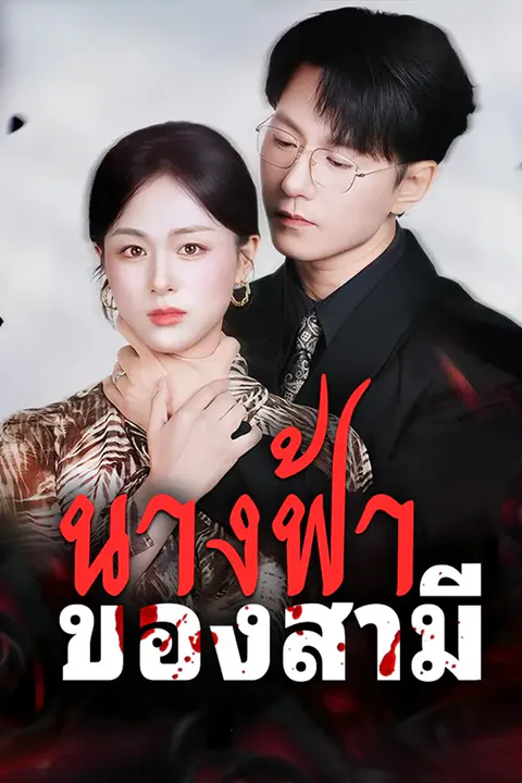 โปสเตอร์ นางฟ้าของสามี