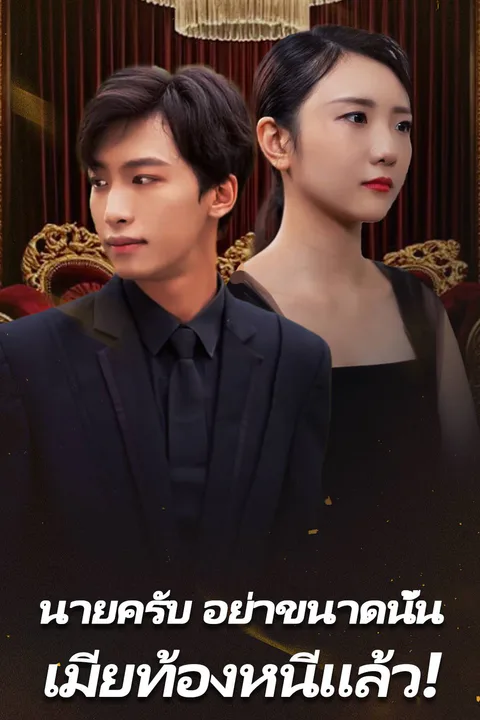 โปสเตอร์ นายครับ อย่าขนาดนั้น เมียท้องหนีแล้ว!