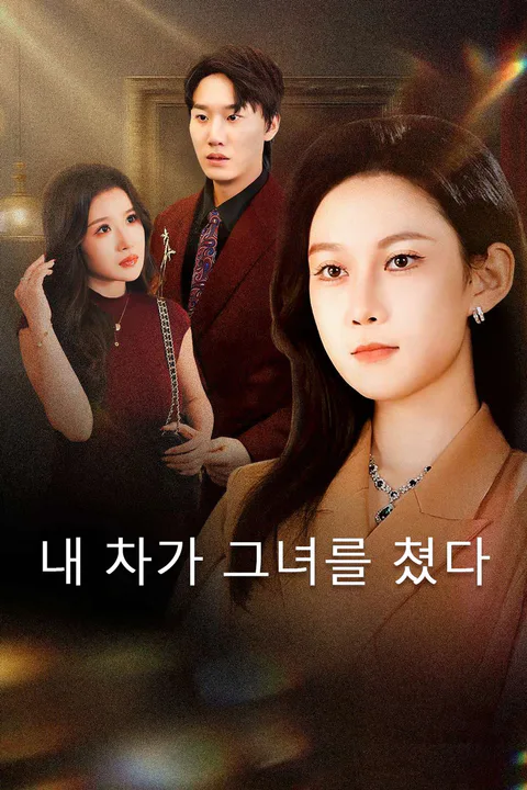 내 차가 그녀를 쳤다 포스터