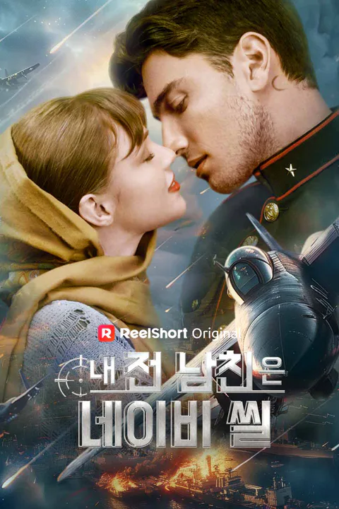 내 전 남친은 네이비 씰 포스터