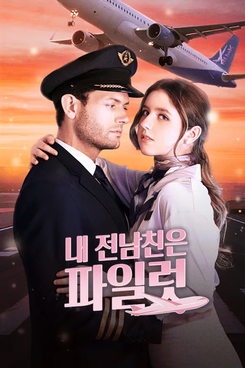 내 전남친은 파일럿 포스터