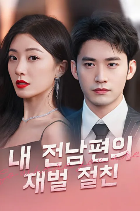 내 전남편의 재벌 절친 포스터