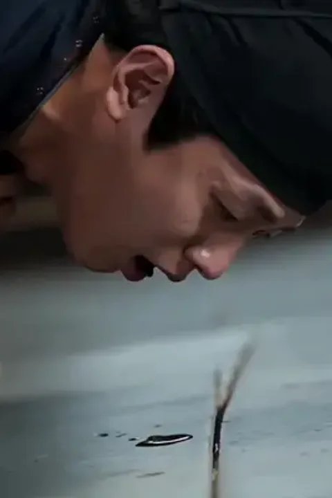 내 마음 들은 황태자가 빠졌다 포스터