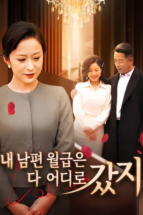내 남편 월급은 다 어디로 갔지? 포스터