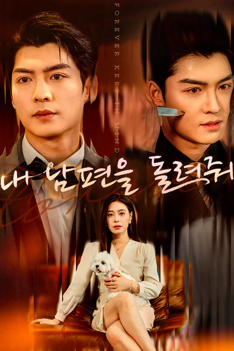 내 남편을 돌려줘 포스터